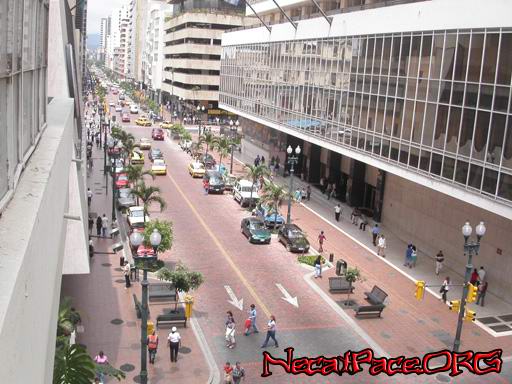  La Regeneracion no para en Guayaquil<br />
