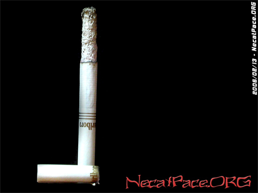 Dejando el Tabaco